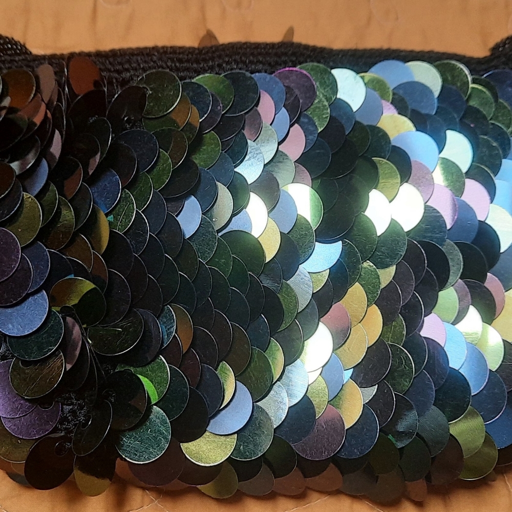 Iridescence color purse